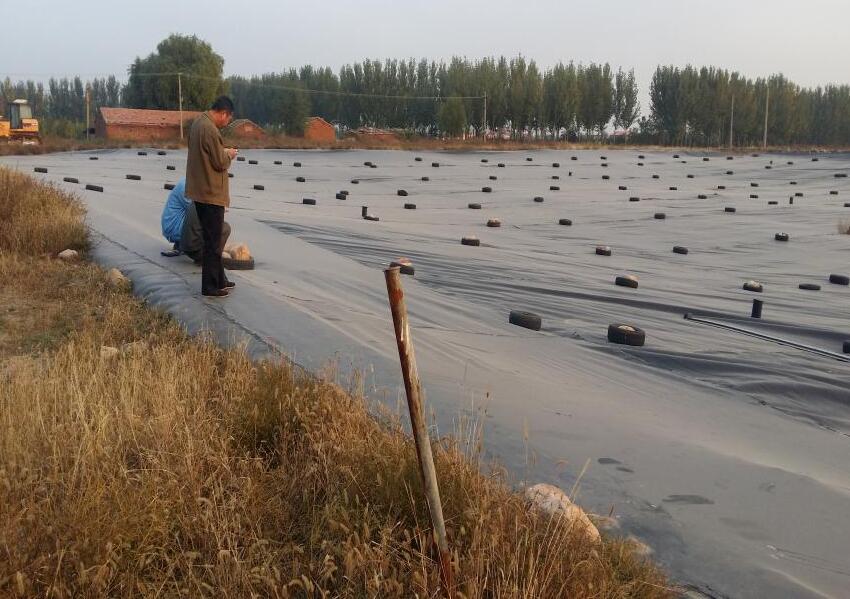 91香蕉视频APP免费下载織物在防治滲透破壞方麵的應用研究